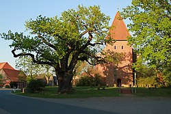 Eiche an der Kirche in Hittbergen